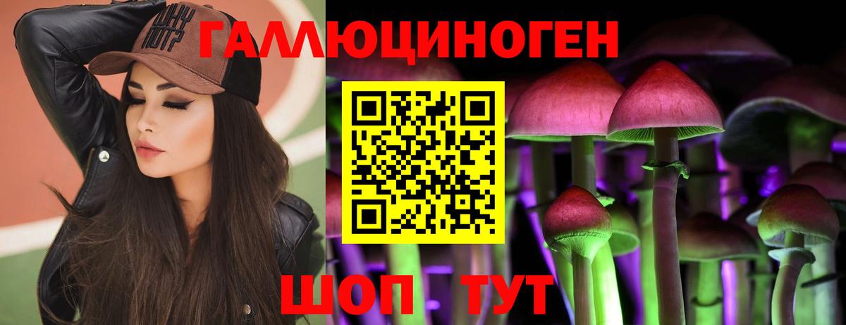 Кинель  Галлюциногенные грибы Psilocybine cubensis  Вход с VPN 